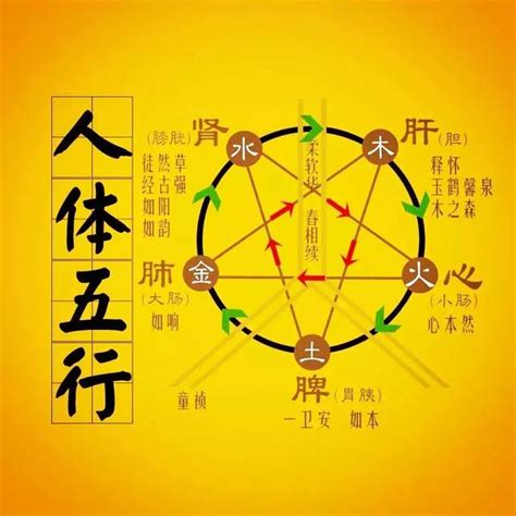 水克金|五行相生相克之间的意义